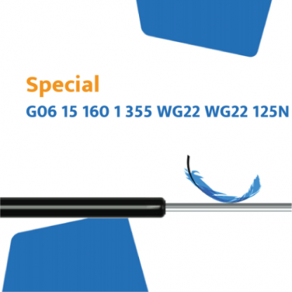 Hahn gasveer G6 15 160 1 355 WG22 WG22 125N