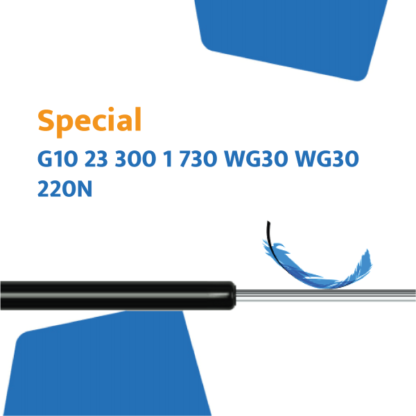 Hahn gasveer G10 23 300 1 730 WG30 WG30 220N V4a