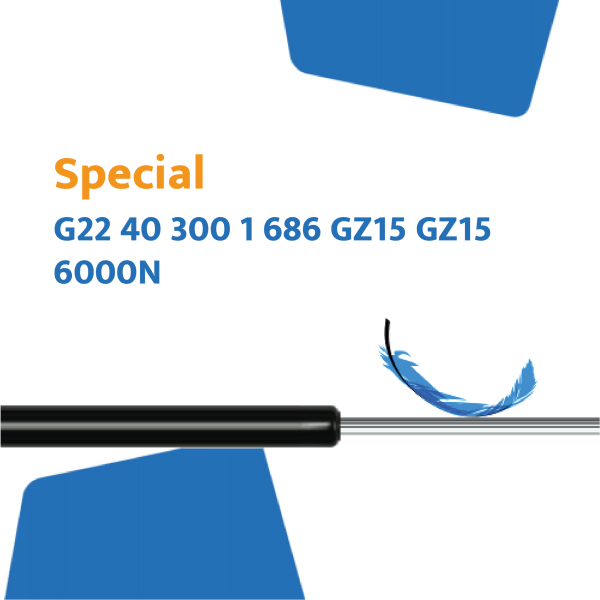 Hahn gasveer G22 40 300 1 686 GZ15 GZ15 6000N