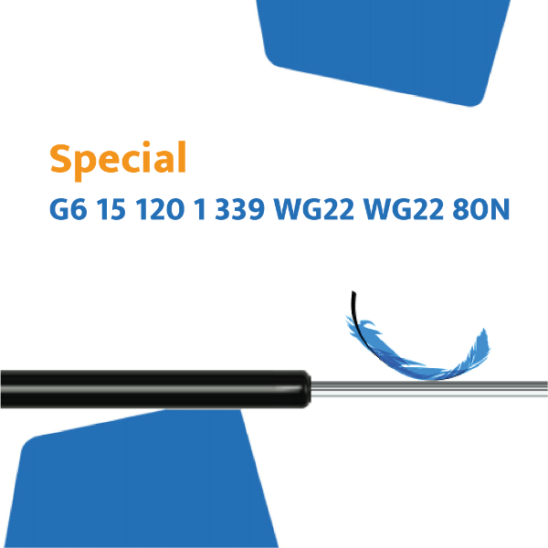 Hahn gasveer G6 15 120 1 339 WG22 WG22 80N