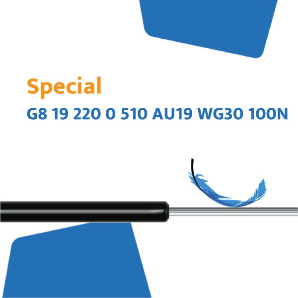 Hahn gasveer G8 19 220 0 510 AU19  WG30 100N