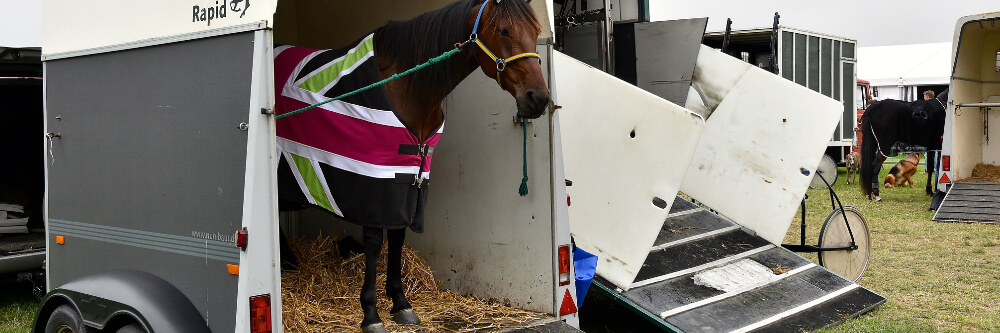 Waco paardentrailer